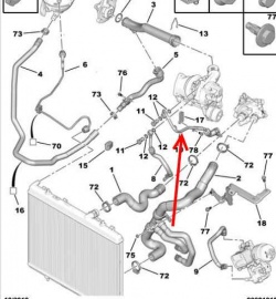 SP V860356280 - Coolant Hose